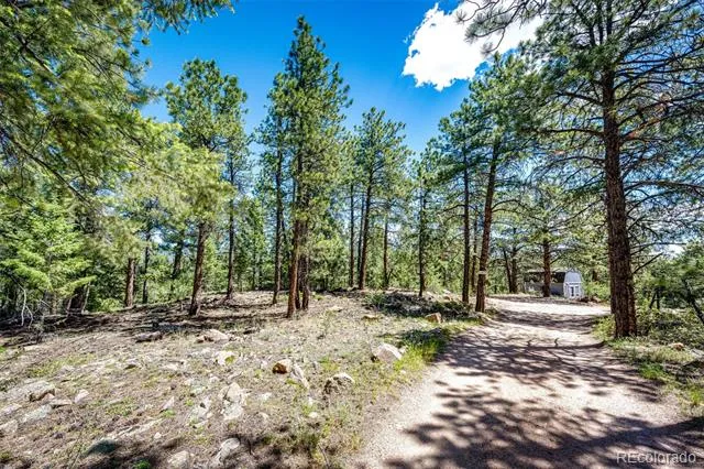 S Wandcrest Drive Pine, CO 80470