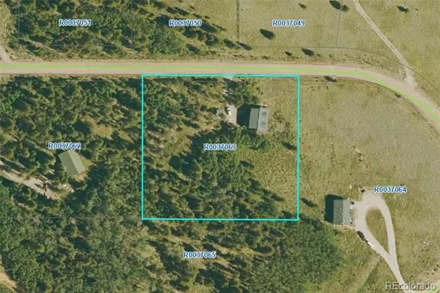 314 Bluestem Way Fairplay, CO 80440