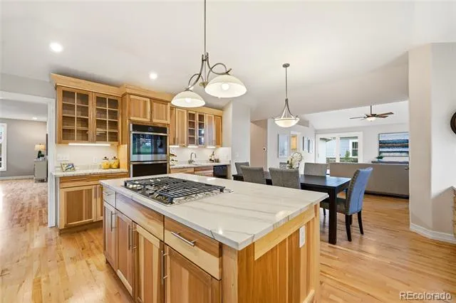 6566 S Madison Court Centennial, CO 80121