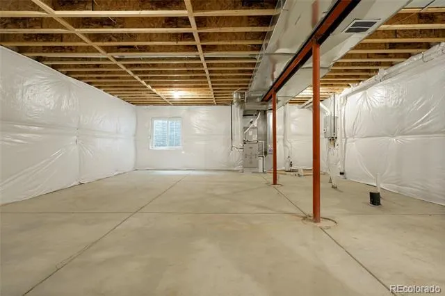 4413 Lyceum Court Timnath, CO 80547