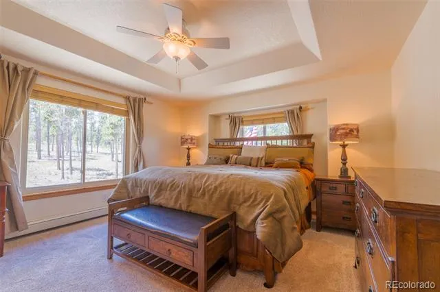 272 Coil Drive Fairplay, CO 80440