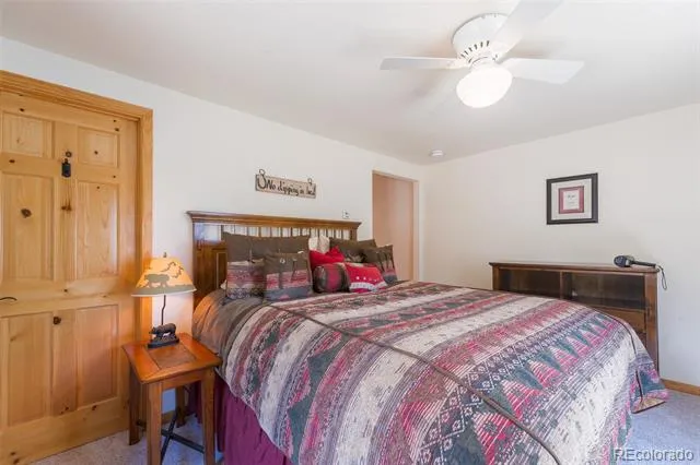 272 Coil Drive Fairplay, CO 80440