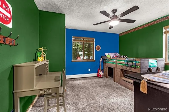 271 County Road 512 Divide, CO 80814