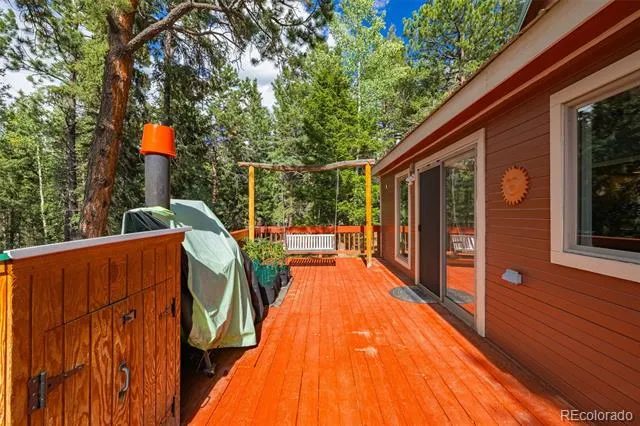 271 County Road 512 Divide, CO 80814
