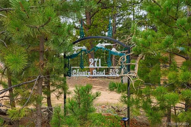 271 County Road 512 Divide, CO 80814