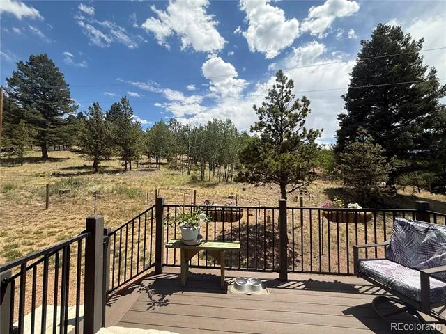 24 Big Horn Circle Florissant, CO 80816