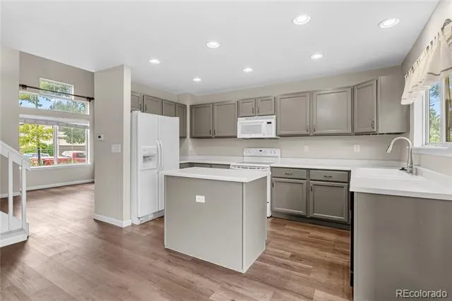 9674 Newcastle Drive Littleton, CO 80130