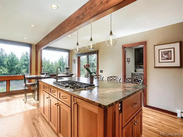 32142 Black Widow Drive Conifer, CO 80433
