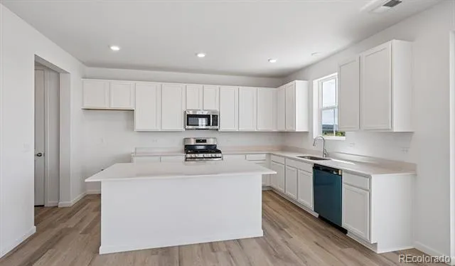 4162 Runyon Lake Street Brighton, CO 80601