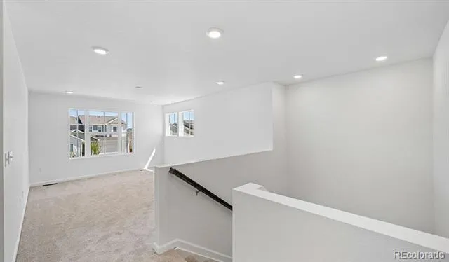 4162 Runyon Lake Street Brighton, CO 80601
