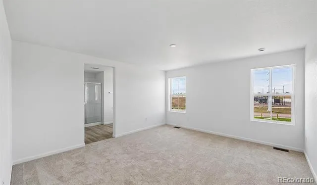 4162 Runyon Lake Street Brighton, CO 80601