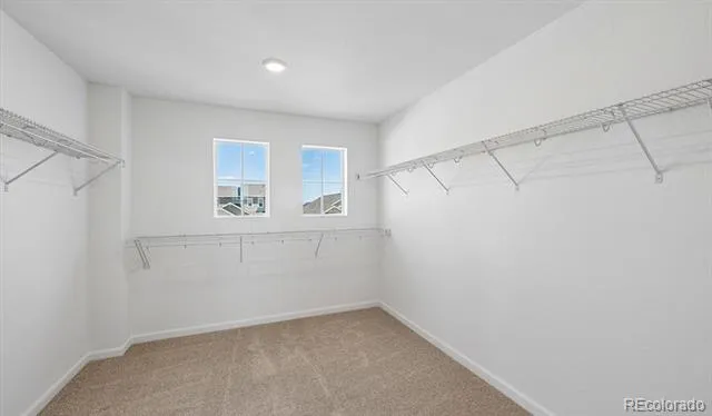 4162 Runyon Lake Street Brighton, CO 80601