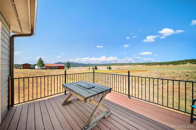 351 High Pasture Road Florissant, CO 80816