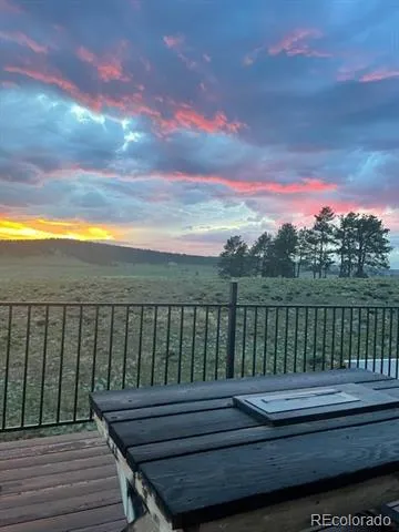 351 High Pasture Road Florissant, CO 80816