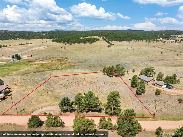 351 High Pasture Road Florissant, CO 80816