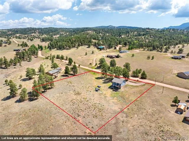 351 High Pasture Road Florissant, CO 80816