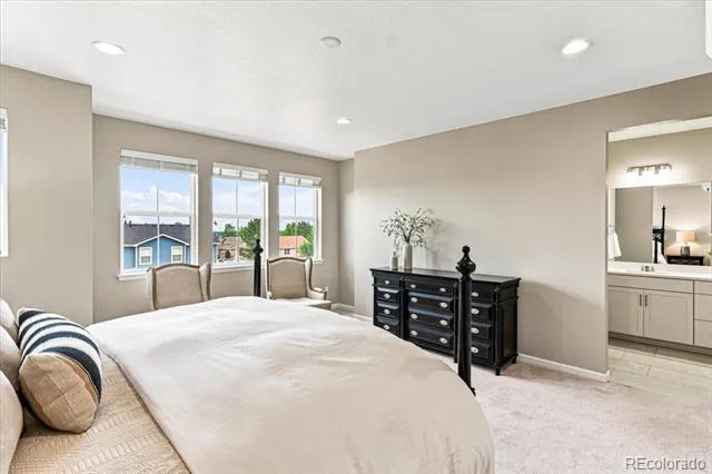 10537 Oncilla Lane Lone Tree, CO 80124