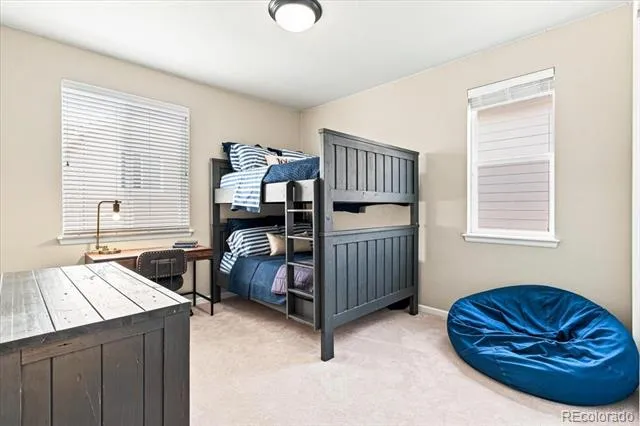 10537 Oncilla Lane Lone Tree, CO 80124