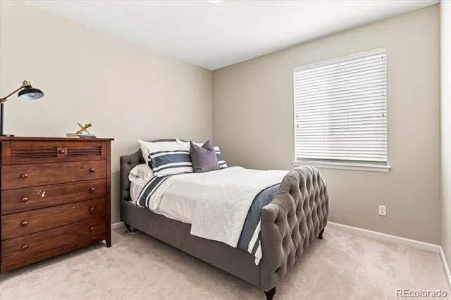 10537 Oncilla Lane Lone Tree, CO 80124