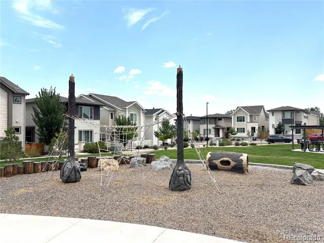 10537 Oncilla Lane Lone Tree, CO 80124