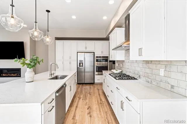 10537 Oncilla Lane Lone Tree, CO 80124