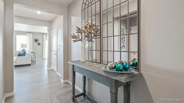 5600 Gelbray Place Windsor, CO 80528