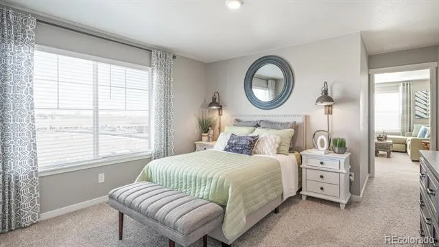 5600 Gelbray Place Windsor, CO 80528