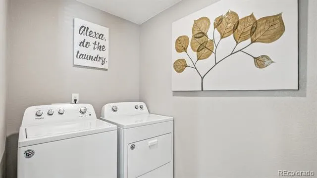 5600 Gelbray Place Windsor, CO 80528