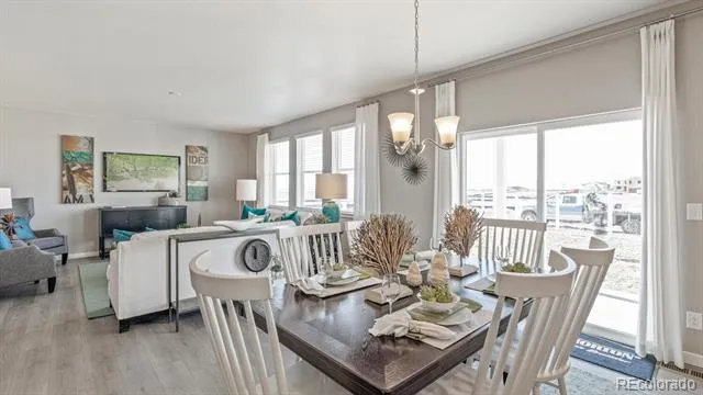 5600 Gelbray Place Windsor, CO 80528