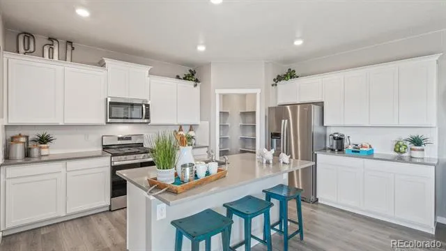 5600 Gelbray Place Windsor, CO 80528