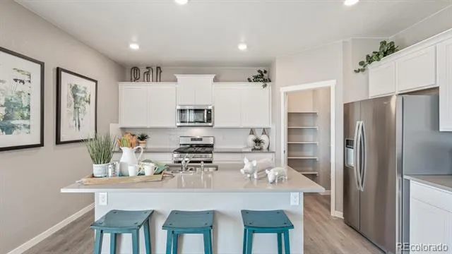 5600 Gelbray Place Windsor, CO 80528