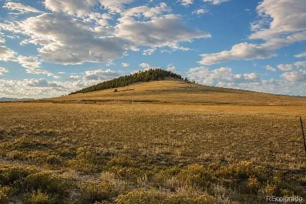 6065 Moffat Road Hartsel, CO 80449