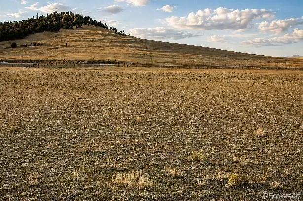 6065 Moffat Road Hartsel, CO 80449