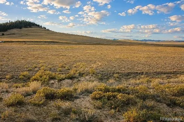 6065 Moffat Road Hartsel, CO 80449