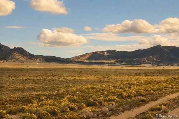 6065 Moffat Road Hartsel, CO 80449