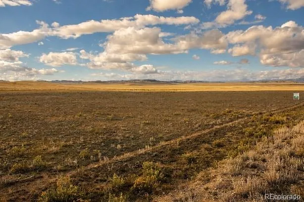 6065 Moffat Road Hartsel, CO 80449