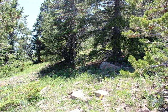 1595 Missouri Gulch Road Black Hawk, CO 80422