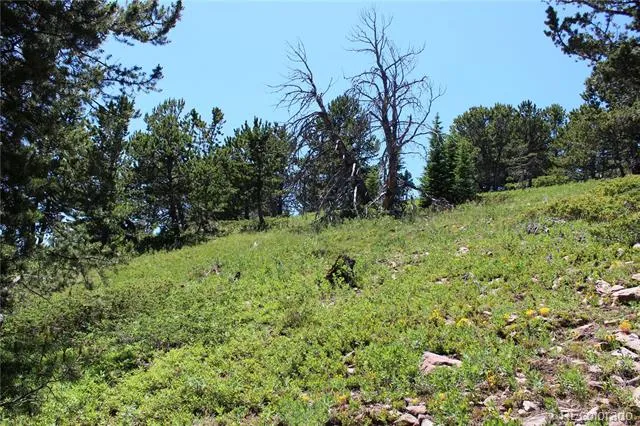 1595 Missouri Gulch Road Black Hawk, CO 80422