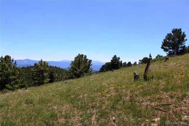 1595 Missouri Gulch Road Black Hawk, CO 80422