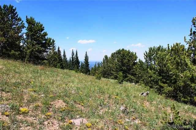 1595 Missouri Gulch Road Black Hawk, CO 80422