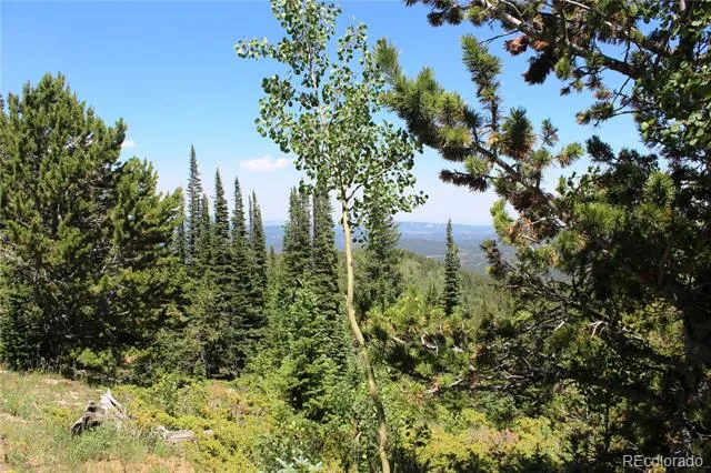 1595 Missouri Gulch Road Black Hawk, CO 80422