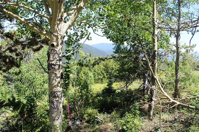 1595 Missouri Gulch Road Black Hawk, CO 80422