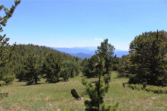 1595 Missouri Gulch Road Black Hawk, CO 80422
