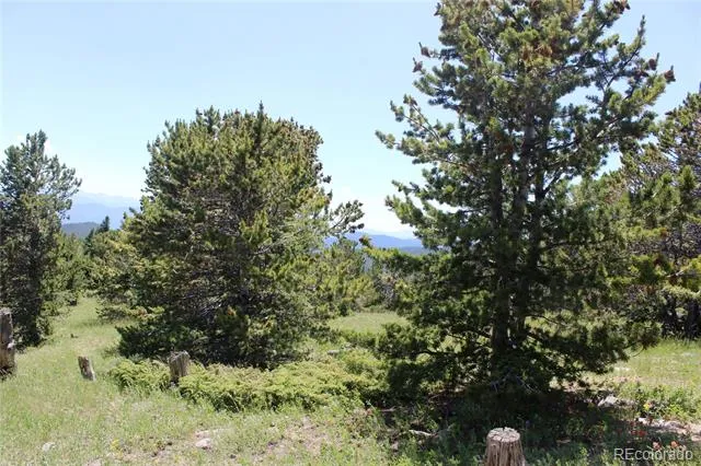 1595 Missouri Gulch Road Black Hawk, CO 80422