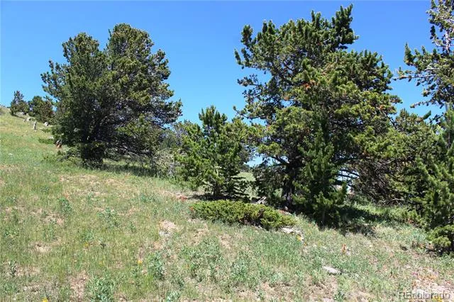 1595 Missouri Gulch Road Black Hawk, CO 80422