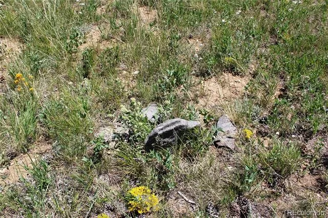 1595 Missouri Gulch Road Black Hawk, CO 80422