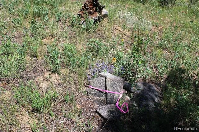 1595 Missouri Gulch Road Black Hawk, CO 80422