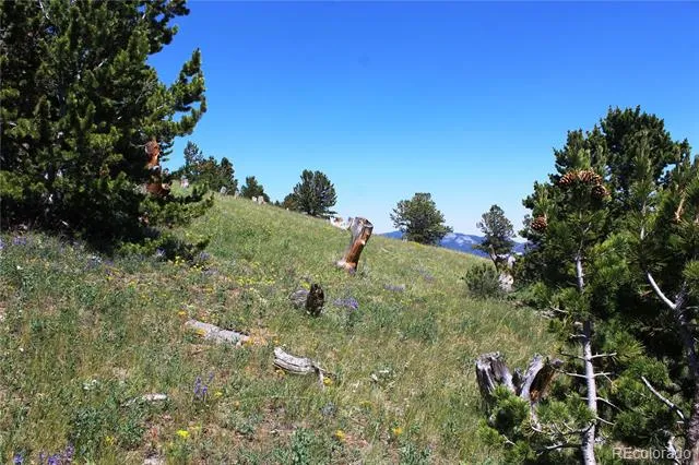 1595 Missouri Gulch Road Black Hawk, CO 80422
