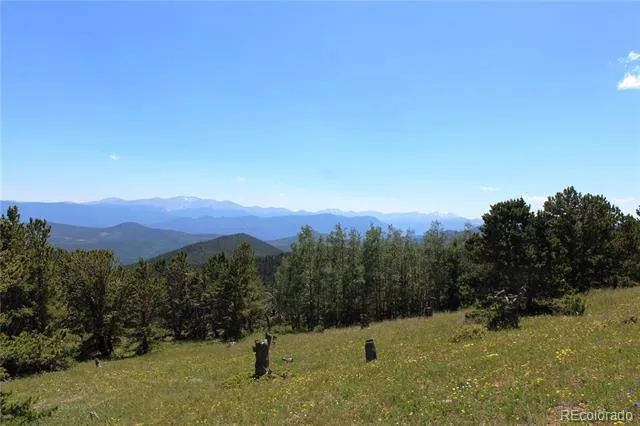 1595 Missouri Gulch Road Black Hawk, CO 80422
