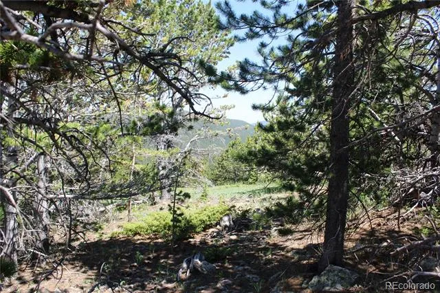 1595 Missouri Gulch Road Black Hawk, CO 80422